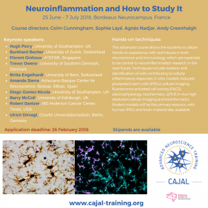flyer cajal Developmental + Neuroinflammation 2018