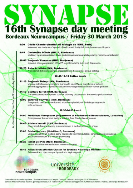 flyer synapse day 2018
